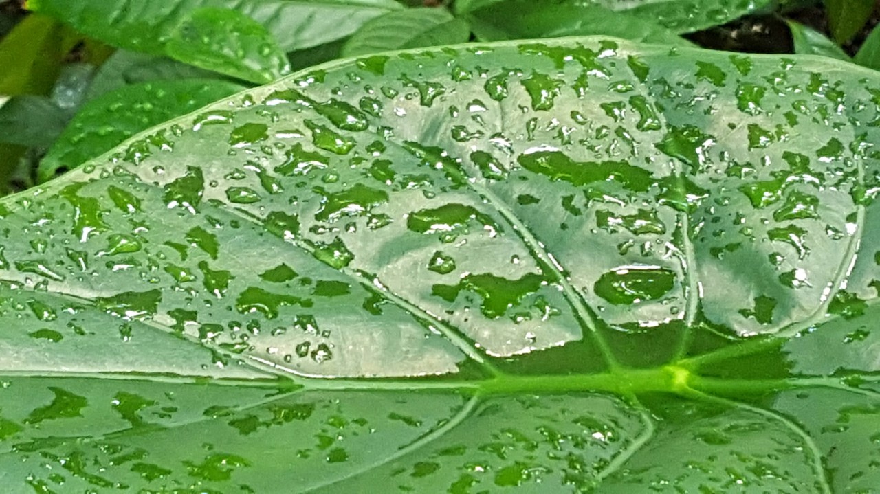 THIS IS THE MOMENT TO BE&nbsp;PRAISED