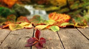 PRAYERS WHO TAKE UP THEIR MATS AND&nbsp;WALK