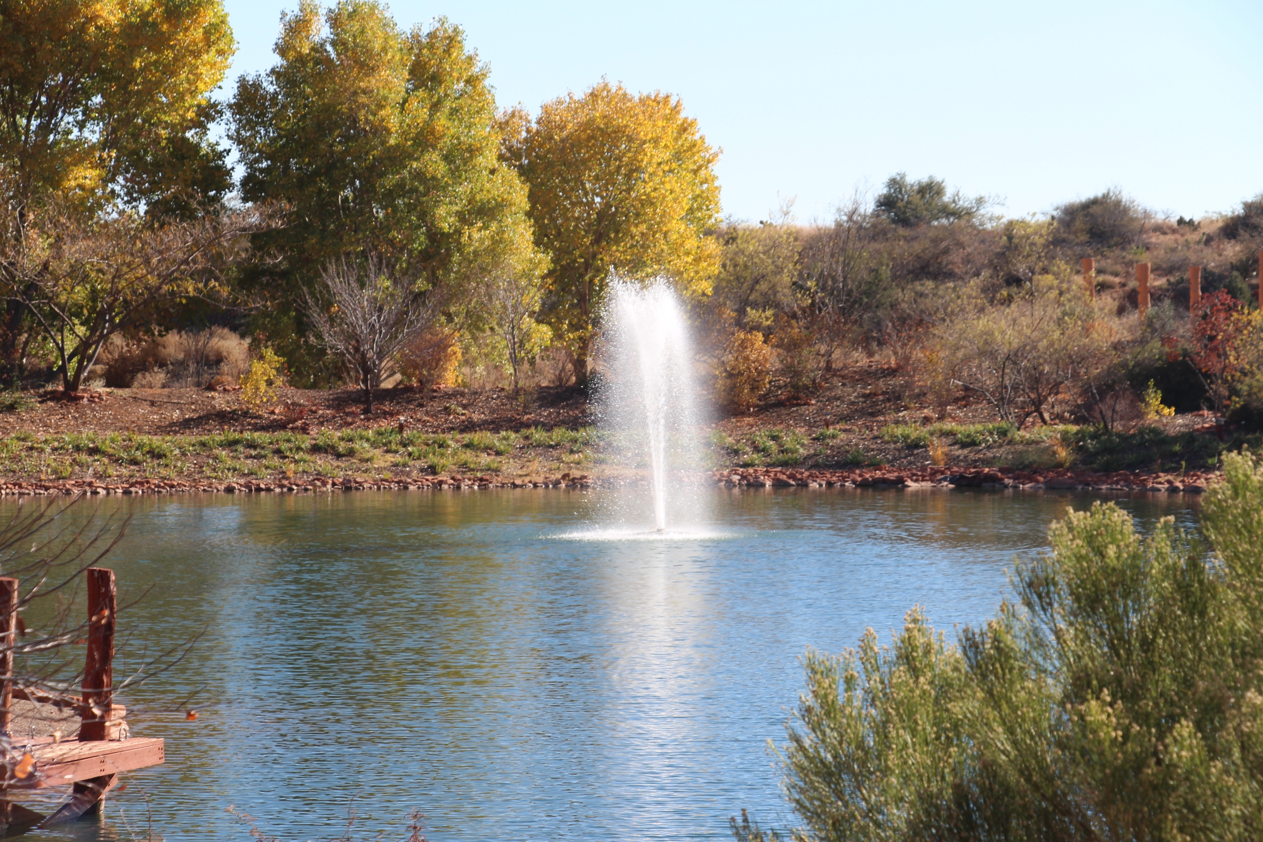 DEVELOPING A SPIRITUAL CONSCIOUSNESS