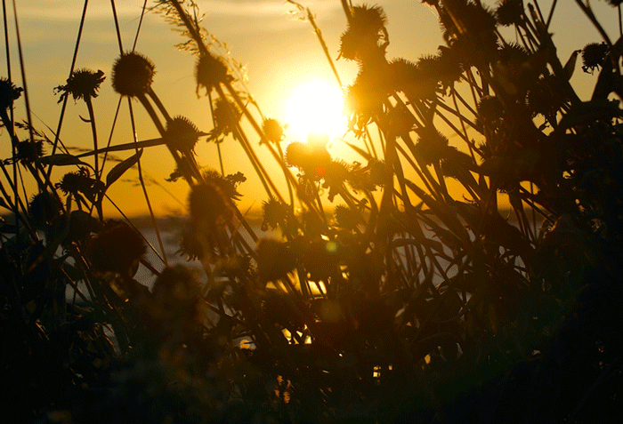 A PRAYER FOR A NEW&nbsp;DAY