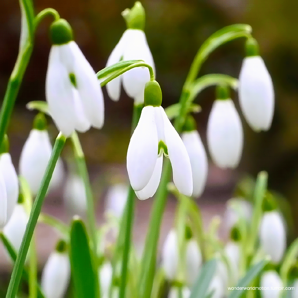 I REAP THE HARVEST OF ABSOLUTE&nbsp;GOOD