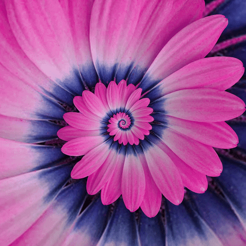 FINDING THE POWER OF LOVE – Part 8