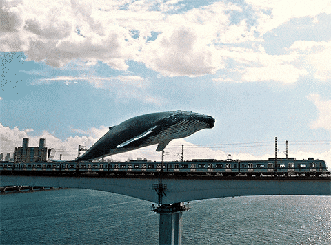 The Grace of Miracles – Part 27 – “The Holy Answer”